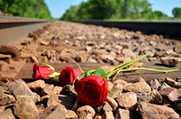 Roses & Railroad Tracks 2