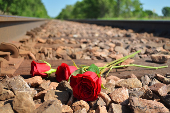 Roses & Railroad Tracks 2