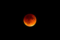 Lunar Eclipse 19