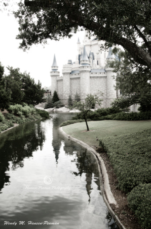 Cinderella's Enchanting Castle wm