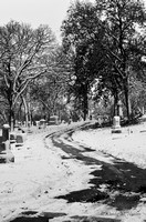Snowy Cemetery Path 2